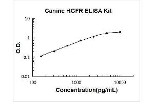 Typical Standard Curve