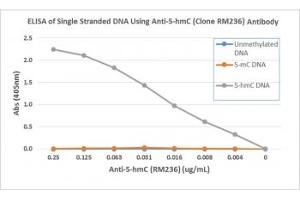 ELISA of single stranded DNA using recombinant 5hmC antibody. (Recombinant 5-Hydroxymethylcytosine 抗体)