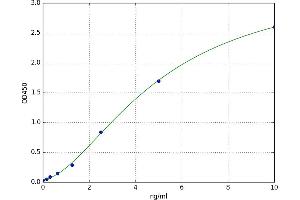 Ankyrin Repeat Domain 30A (ANKRD30A) ELISA Kit