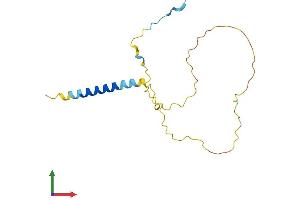 Protein Structure (PS) image for GRB2-Binding Adaptor Protein, Transmembrane (GAPT) (AA 1-157) protein (His tag) (ABIN7547845)