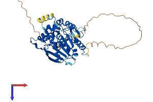 NDRG3 Protein (AA 1-375) (His tag)