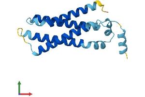 AlphaFold protein structure predicition of Human Recombinant TMEM138 Protein, UniprotID Q9NPI0