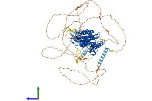 AlphaFold protein structure predicition of Mouse Recombinant Sim1 Protein, UniprotID Q61045