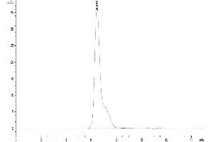 Size-exclusion chromatography-High Pressure Liquid Chromatography (SEC-HPLC) image for Inducible T-Cell Co-Stimulator Ligand (ICOSLG) (AA 19-258) protein (His-Avi Tag,Biotin) (ABIN7273968)