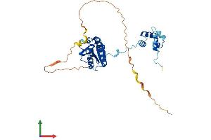 AlphaFold protein structure predicition of Mouse Recombinant Ercc1 Protein, UniprotID P07903 (ERCC1 Protein (AA 1-298) (His tag))