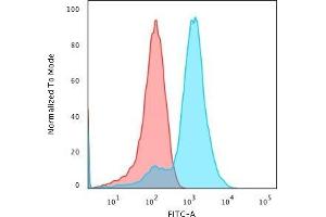 Flow Cytometric Analysis of MeOH-fixed HepG2 cells using Glypican-3 Rabbit Recombinant Monoclonal Antibody (GPC3/1534R) followed by Goat anti-rabbit- IgG-CF488 (Blue); Isotype Control (Red). (Glypican 3 抗体)