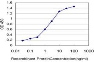 ELISA image for anti-High Mobility Group Box 2 (HMGB2) (AA 1-195) antibody (ABIN516539)