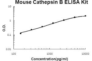 Mouse Cathepsin B Accusignal ELISA Kit Mouse Cathepsin B AccuSignal ELISA Kit standard curve. (Cathepsin B ELISA 试剂盒)