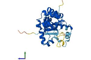 Protein Structure (PS) image for Potassium Voltage-Gated Channel, Shaker-Related Subfamily, beta Member 3 (KCNAB3) (AA 1-249) protein (His tag) (ABIN7556799)