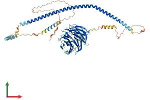 Protein Structure (PS) image for Sperm Associated Antigen 16 (SPAG16) (AA 1-639) protein (His tag) (ABIN7559563)