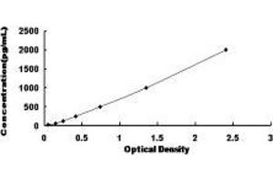 ELISA image for Dual Specificity Phosphatase 1 (DUSP1) ELISA Kit (ABIN426072)