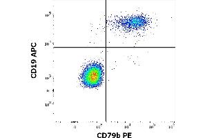 Flow cytometry multicolor surface staining of human lymphocytes stained using anti-human CD79b (CB3-1) PE antibody (10 μL reagent / 100 μL of peripheral whole blood) and anti-human CD19 (LT19) APC antibody (10 μL reagent / 100 μL of peripheral whole blood). (CD79b 抗体  (PE))