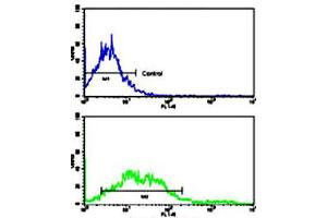 Flow cytometric analysis of NCI-H292 cells using EPHA2 polyclonal antibody (bottom histogram) compared to a negative control cell (top histogram). (EPH Receptor A2 抗体  (N-Term))