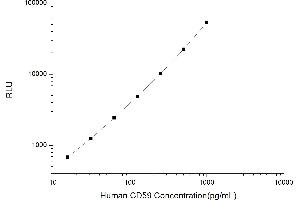 Typical standard curve (CD59 CLIA Kit)