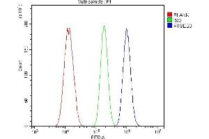 Flow Cytometry analysis of A549 cells using anti-PTGES3 antibody (ABIN7599547).