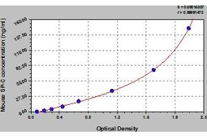 Typical Standard Curve (Surfactant Protein C ELISA 试剂盒)