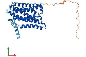 AlphaFold protein structure predicition of Human Recombinant ELOVL2 Protein, UniprotID Q9NXB9