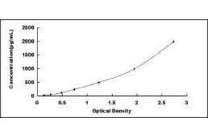 CD9 (CD9) ELISA Kit
