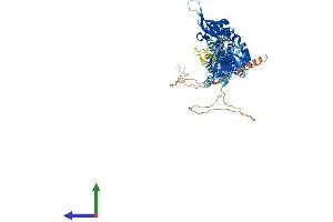 Protein Structure (PS) image for Cyclin M4 (CNNM4) (AA 1-771) protein (His tag) (ABIN7557886)