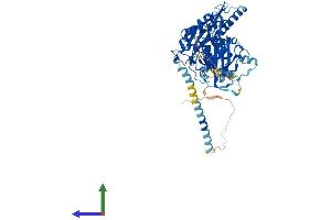AlphaFold protein structure predicition of Mouse Recombinant Entpd4 Protein, UniprotID Q9DBT4
