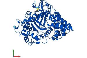 Protein Structure (PS) image for SET and MYND Domain Containing 3 (SMYD3) (AA 1-428) protein (His tag) (ABIN7560678)
