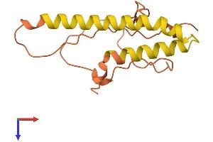 AlphaFold protein structure predicition of Human Recombinant LINC00469 Protein, UniprotID Q8N7U9