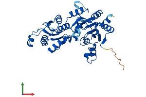 AlphaFold protein structure predicition of Human Recombinant PGP Protein, UniprotID A6NDG6 (PGP Protein (AA 1-321) (His tag))