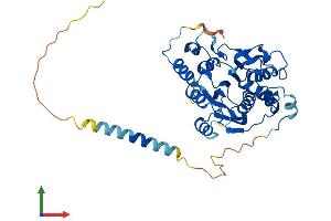Protein Structure (PS) image for beta-1,3-N-Acetylglucosaminyltransferase 4 (B3GNT4) (AA 1-378) protein (His tag) (ABIN7552629)
