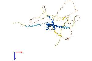HMX3 Protein (AA 1-357) (His tag)