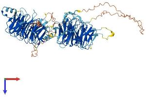 Protein Structure (PS) image for WD Repeat Domain 27 (WDR27) (AA 1-827) protein (His tag) (ABIN7545186)