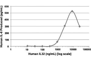 Human PBMCs were cultured with 0 to 1000 ng/mL human IL32 in serum free media. (IL32 蛋白)