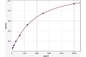 FGF22 ELISA 试剂盒