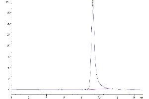 The purity of Mouse ANGPTL4 is greater than 95 % as determined by SEC-HPLC.