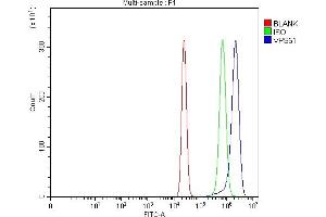 Flow Cytometry analysis of U20S cells using anti-FFR/VPS51 antibody (ABIN7601551).