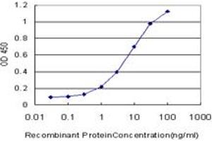 Detection limit for recombinant GST tagged CDK4 is approximately 0. (CDK4 抗体  (AA 211-303))