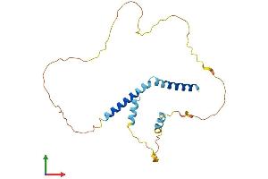 AlphaFold protein structure predicition of Human Recombinant IER2 Protein, UniprotID Q9BTL4 (IER2 Protein (AA 1-223) (His tag))