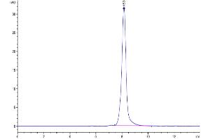The purity of Biotinylated Cynomolgus CDCP-1 is greater than 95 % as determined by SEC-HPLC.