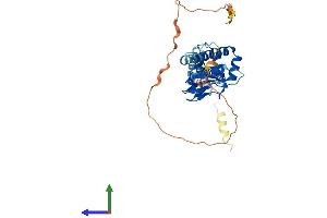 Protein Structure (PS) image for Popeye Domain Containing 2 (POPDC2) (AA 1-364) protein (His tag) (ABIN7550841)