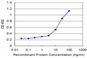 Detection limit for recombinant GST tagged VEGF is approximately 0. (VEGFA 抗体  (AA 27-130))