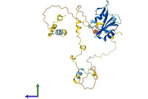 Protein Structure (PS) image for Src Homology 2 Domain Containing Transforming Protein D (SHD) (AA 1-340) protein (His tag) (ABIN7546086)