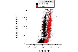 Flow cytometry analysis (intracellular staining) of PCLO in human peripheral blood using mouse monoclonal (PCLO-01) PE. (PCLO 抗体  (PE))