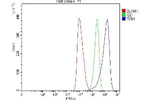 Flow Cytometry analysis of HEL cells using anti-Tryptophan Hydroxylase/TPH1 antibody (ABIN7601556).