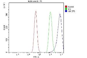 Flow Cytometry analysis of A431 cells using anti- NMI antibody (ABIN6719489).