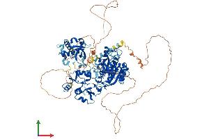 Protein Structure (PS) image for DNA (Cytosine-5-)-Methyltransferase 3 alpha (DNMT3A) (AA 1-908) protein (His tag) (ABIN7562615)