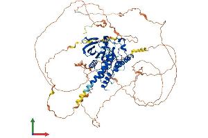 Protein Structure (PS) image for Protein Tyrosine Phosphatase G1 (PTPN12) (AA 1-780) protein (His tag) (ABIN7551083)