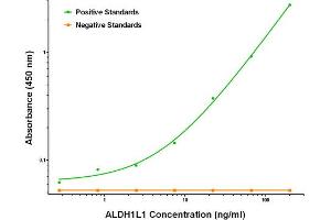 ELISA image for anti-Aldehyde Dehydrogenase 1 Family, Member L1 (ALDH1L1) antibody (ABIN2715903) (ALDH1L1 抗体)