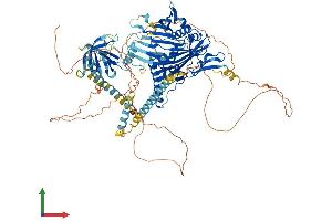 Protein Structure (PS) image for Oxysterol Binding Protein-Like 5 (OSBPL5) (AA 1-879) protein (His tag) (ABIN7554872)