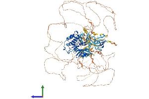 AlphaFold protein structure predicition of Mouse Recombinant Pask Protein, UniprotID Q8CEE6