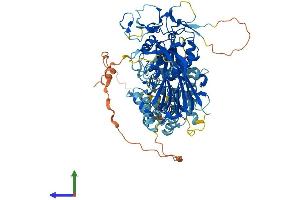Protein Structure (PS) image for DAG Kinase gamma (AA 1-788) protein (His tag) (ABIN7560038)