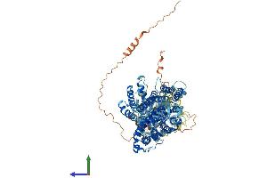 Protein Structure (PS) image for Solute Carrier Family 4, Anion Exchanger, Member 1 (erythrocyte Membrane Protein Band 3, Diego Blood Group) (SLC4A1) (AA 1-929) protein (His tag) (ABIN7562744)